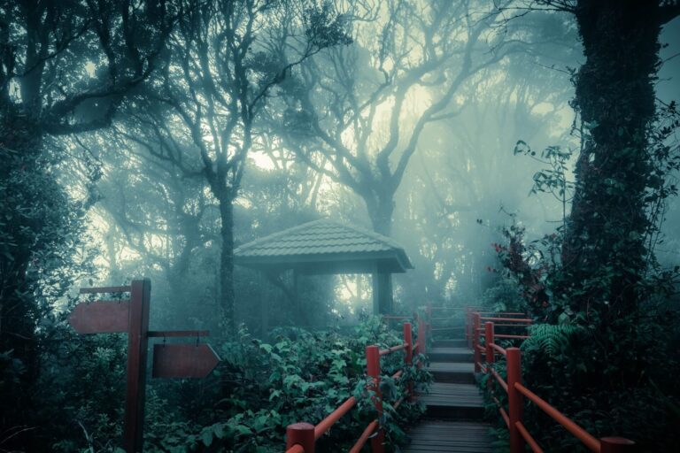 宜蘭秘境探索:不容錯過的隱藏景點