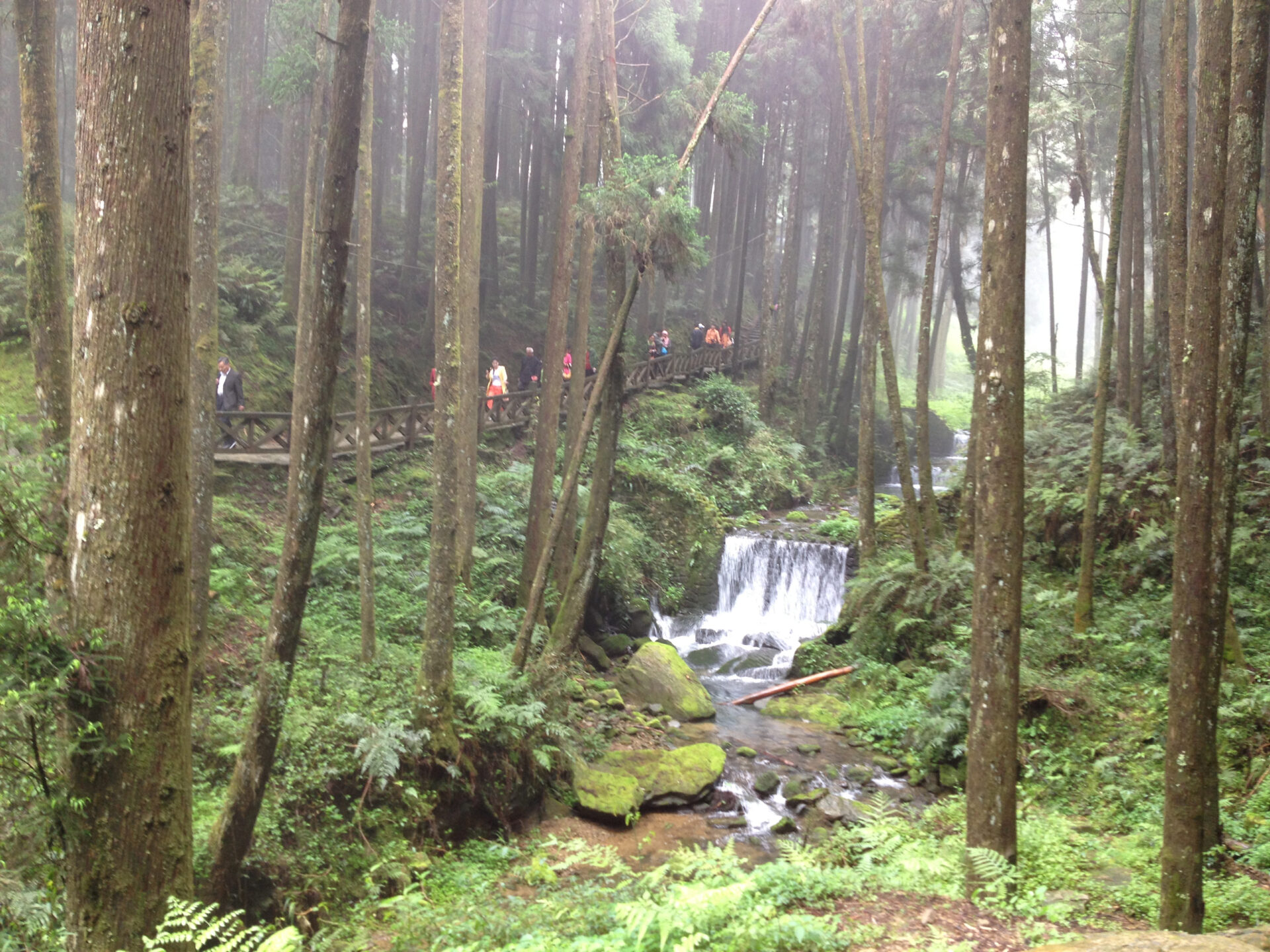阿里山日出觀賞指南：最佳地點與時間