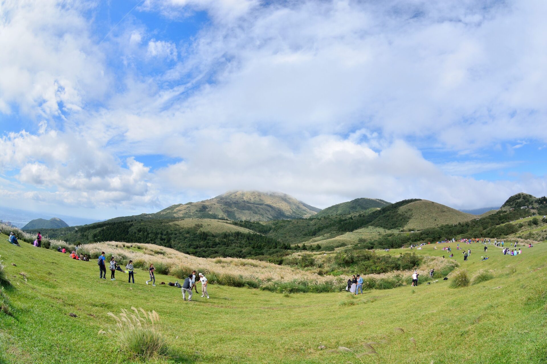 陽明山住宿推薦：從民宿到高級飯店的選擇