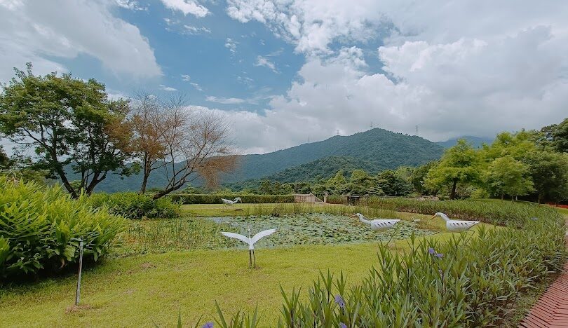 宜蘭花季活動指南:最佳賞花時節與地點