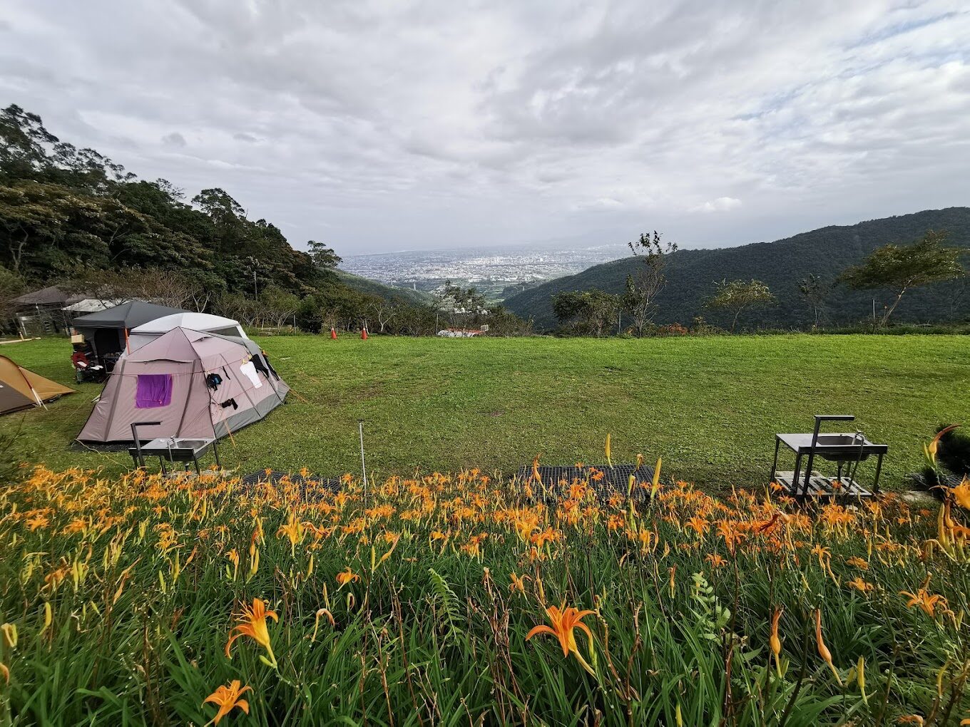 宜蘭花季活動指南:最佳賞花時節與地點