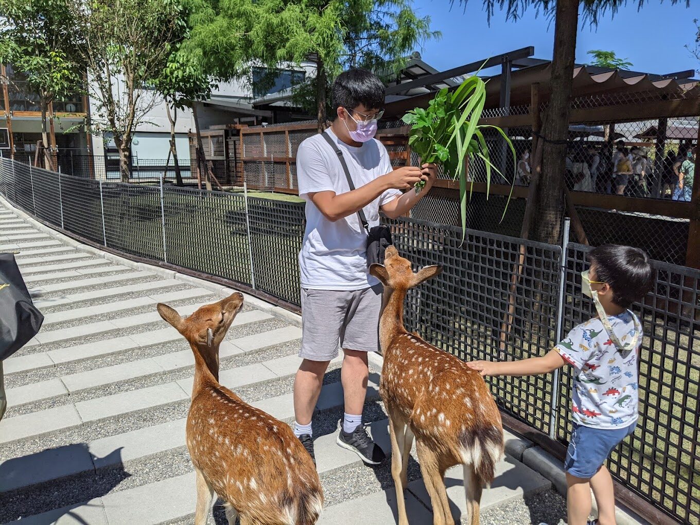 宜蘭落羽松季節全攻略：最佳觀賞時間、交通與住宿資訊