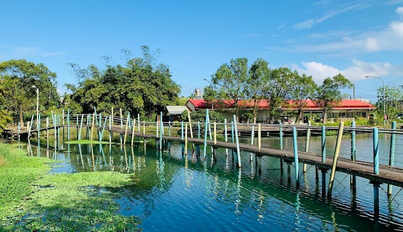 宜蘭落羽松公園巡禮：頭城運動公園、雷公埤等景點介紹