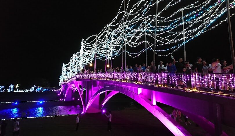 安農溪落羽松夜間點燈攻略：浪漫景致與拍攝建議