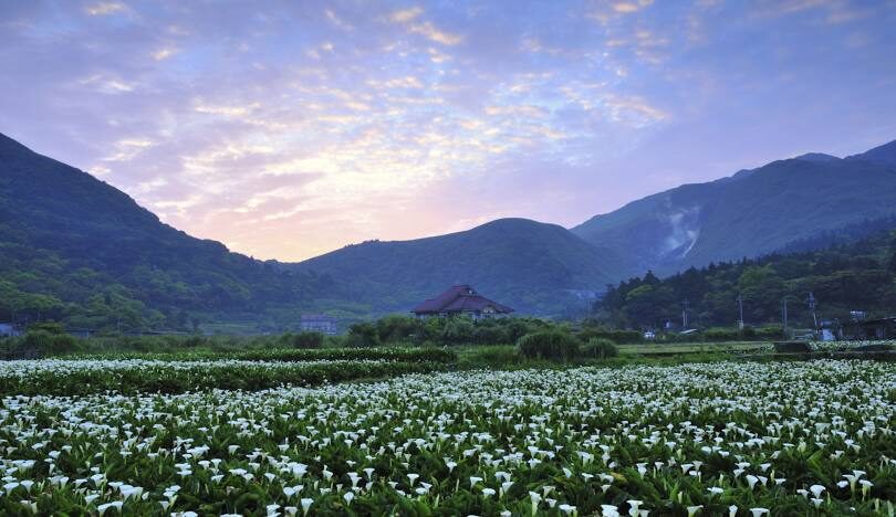 台北賞楓好去處:市區內的紅葉美景