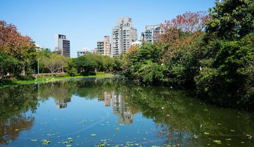 台北賞楓好去處:市區內的紅葉美景