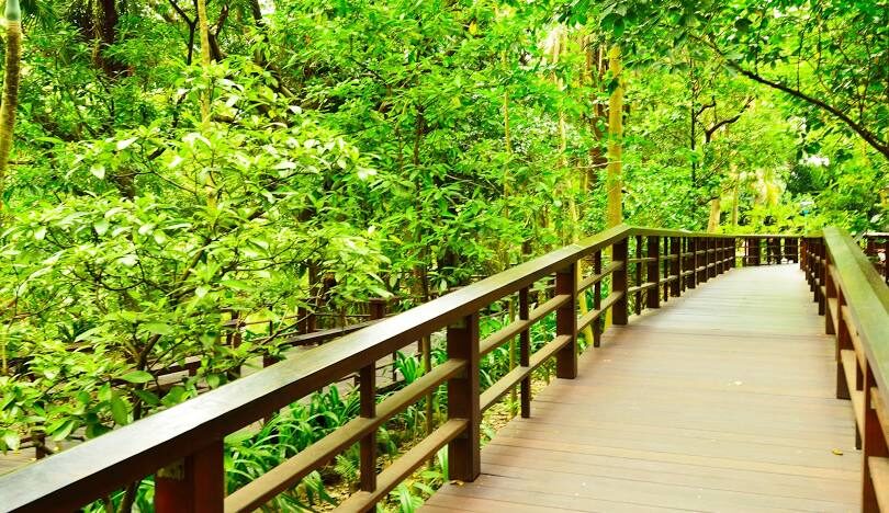 台北賞楓好去處:市區內的紅葉美景