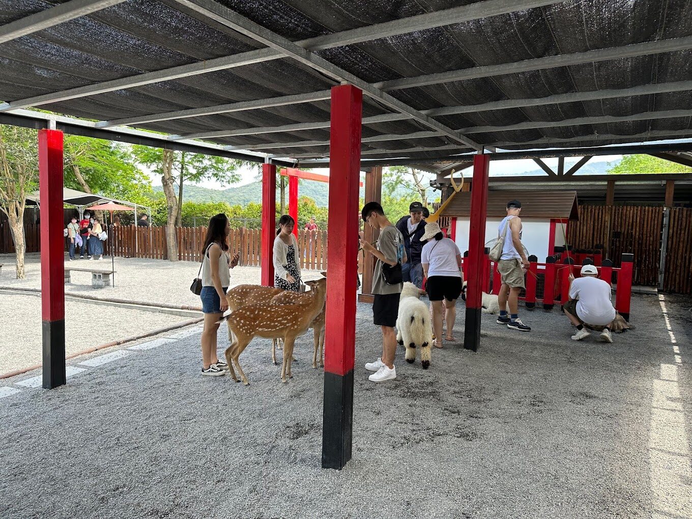 宜蘭親子景點推薦：張美阿嬤農場全攻略