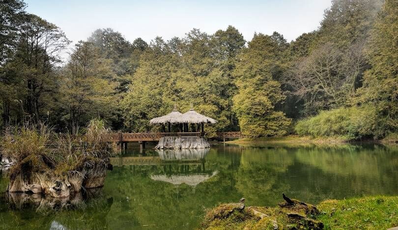 阿里山必訪景點推薦