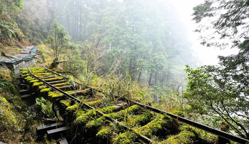 太平山國家森林遊樂區旅遊攻略