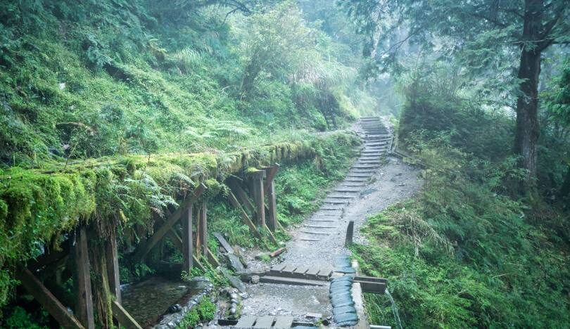 太平山國家森林遊樂區旅遊攻略