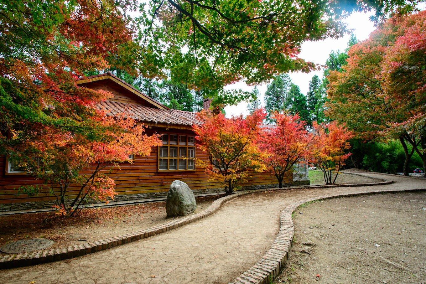 福壽山農場住宿推薦：如何預訂最佳房型