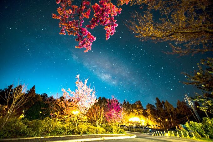 福壽山農場住宿推薦：如何預訂最佳房型