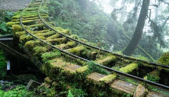 太平山莊住宿推薦:最佳房型與價格指南