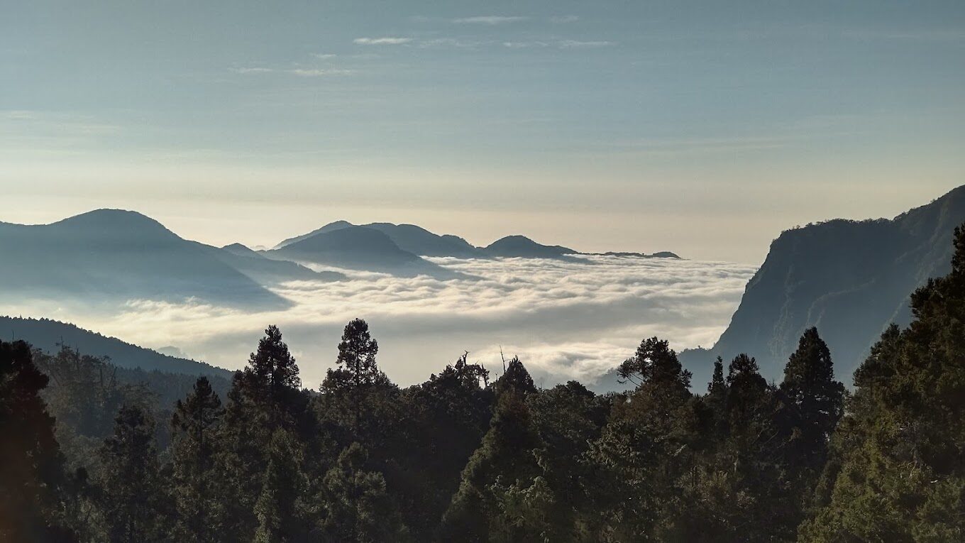 阿里山賓館設施與服務介紹：觀景平台、親子遊戲室與健身房