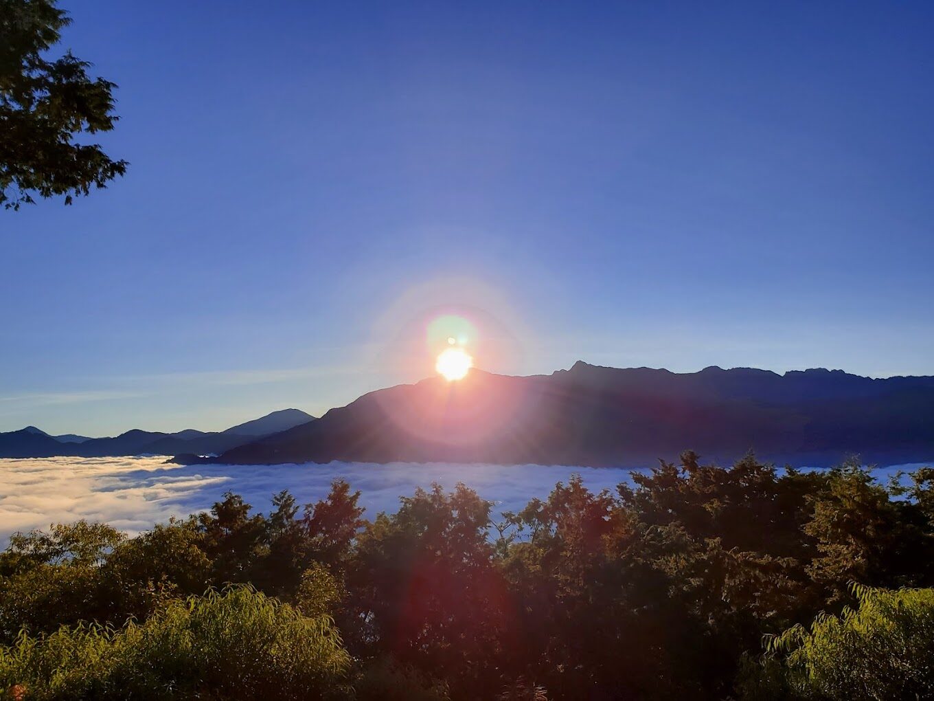 阿里山賓館設施與服務介紹：觀景平台、親子遊戲室與健身房