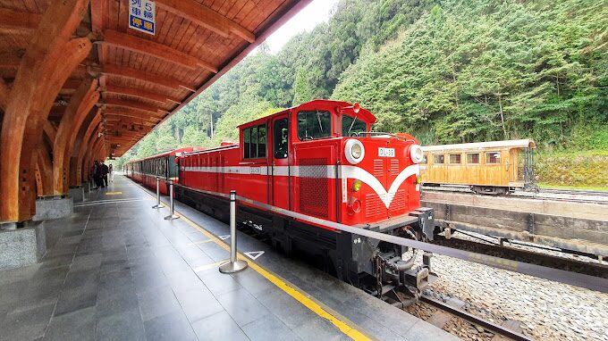 阿里山賓館晨喚服務與祝山日出觀賞指南