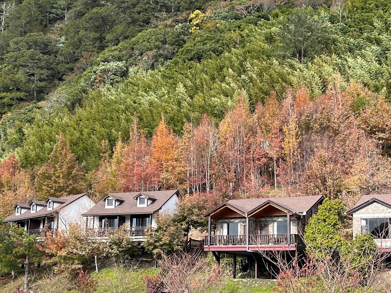 司馬庫斯交通指南：如何前往上帝的部落