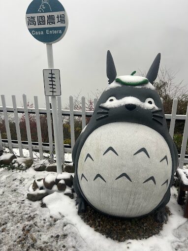 司馬庫斯住宿推薦：體驗原住民部落的魅力