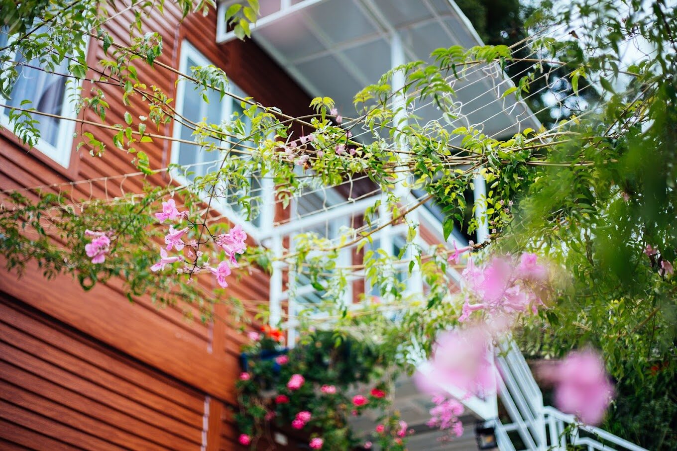 清境農場住宿推薦：高CP值民宿精選