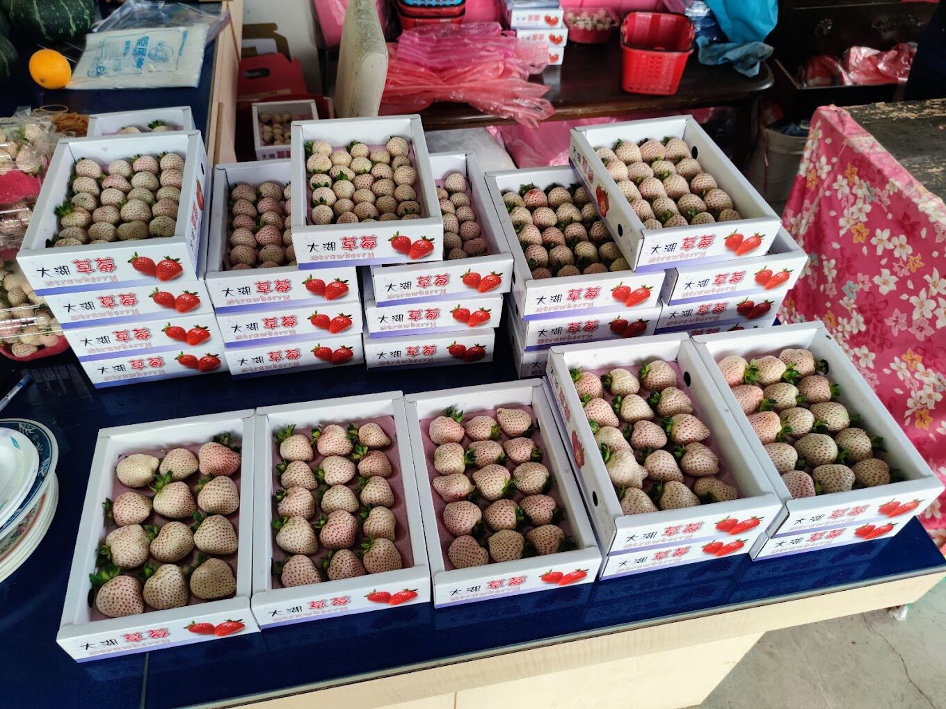 苗栗大湖草莓季節：最佳採摘時間與活動指南