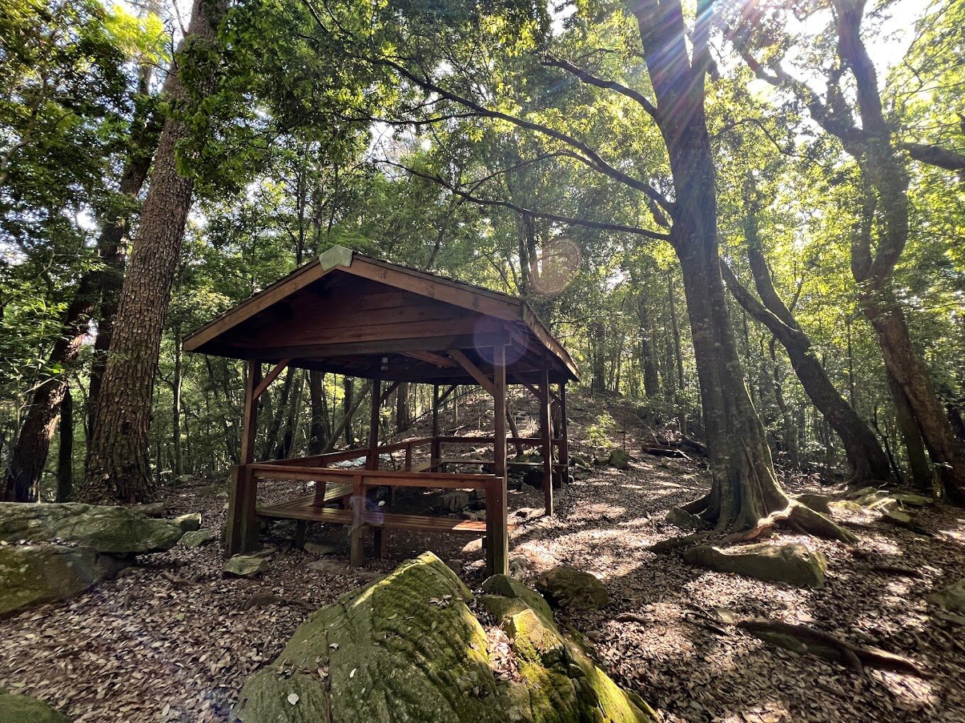 谷關七雄登山攻略：初學者必讀指南
