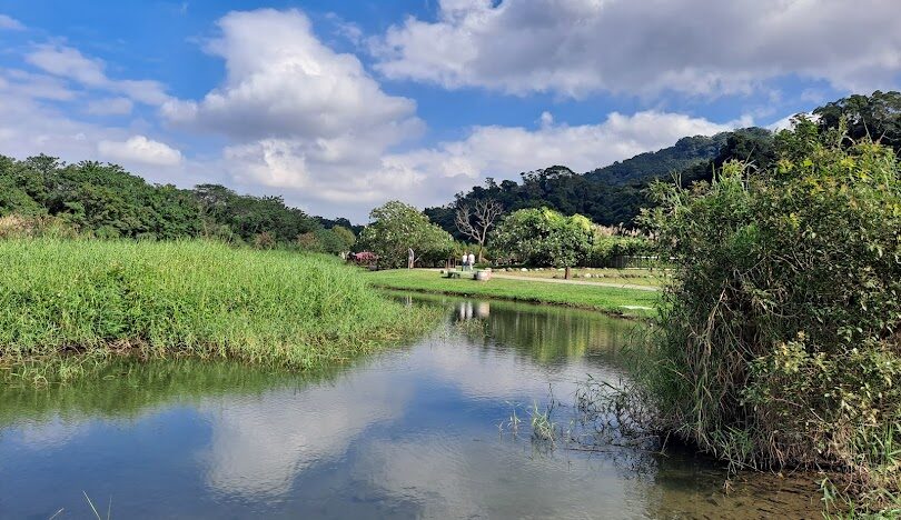 月眉人工濕地內豐富多樣的生態池與植被景觀