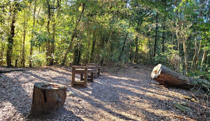 谷關七雄登山攻略：初學者必讀指南