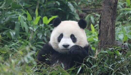 探索台北的最佳親子景點