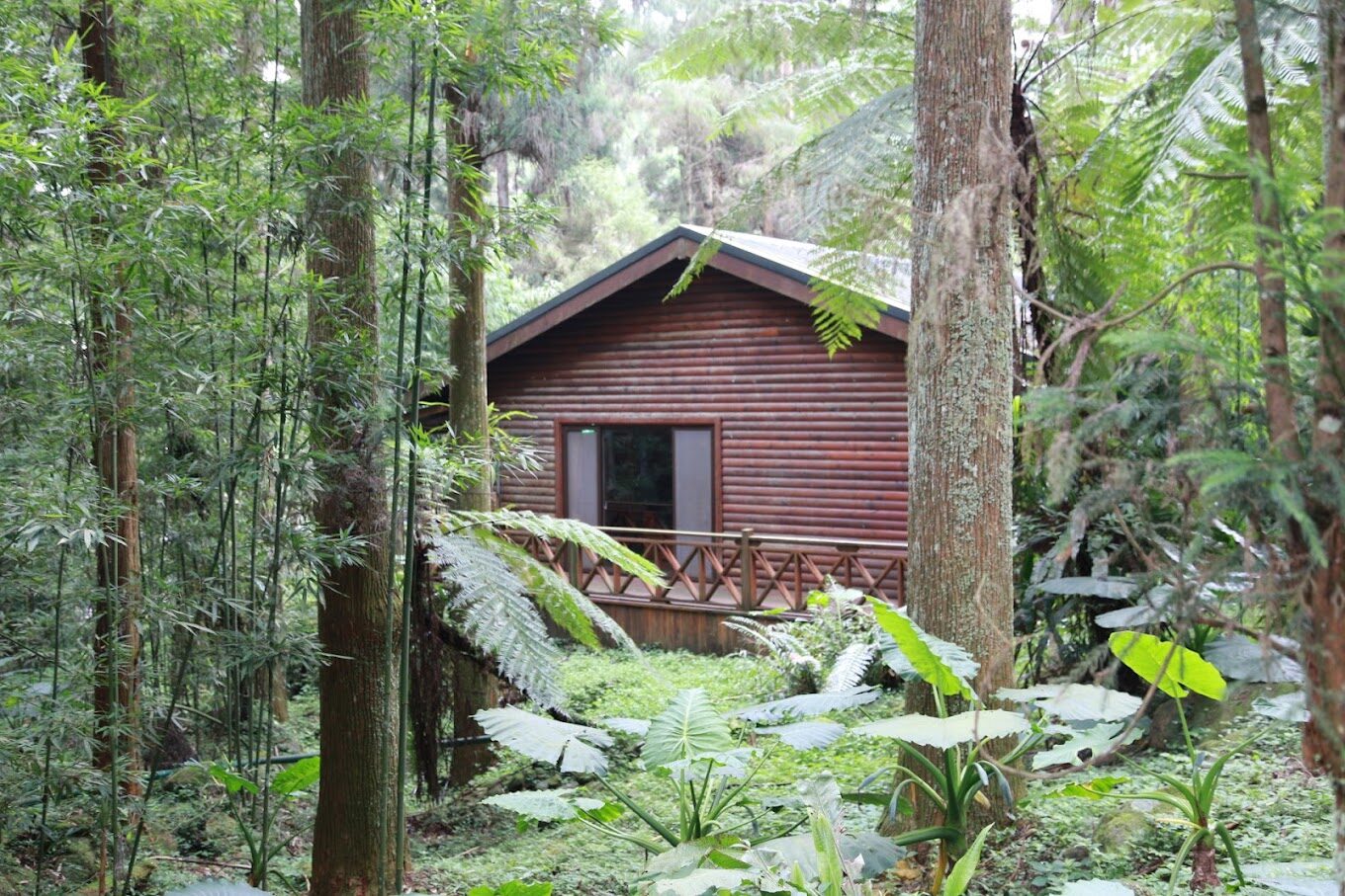 杉林溪住宿攻略：平價民宿與高級飯店推薦