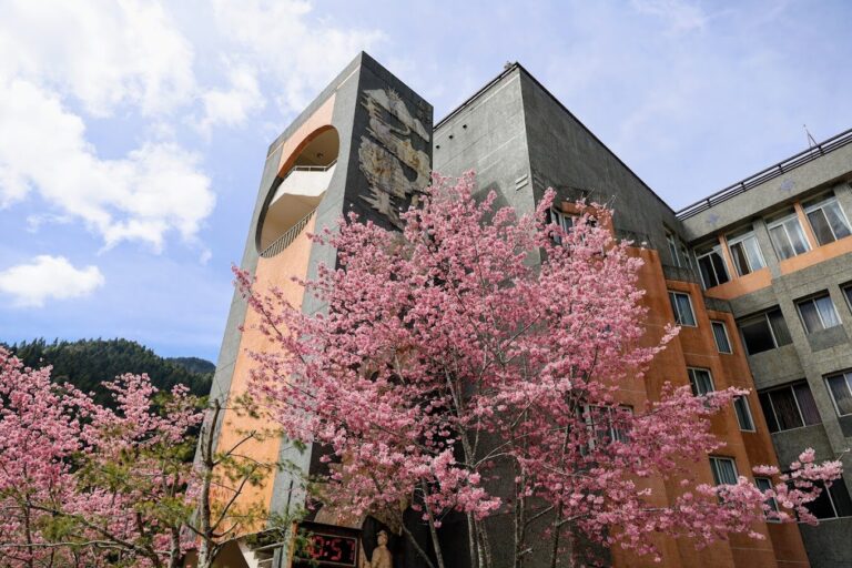 杉林溪最佳旅遊季節解析