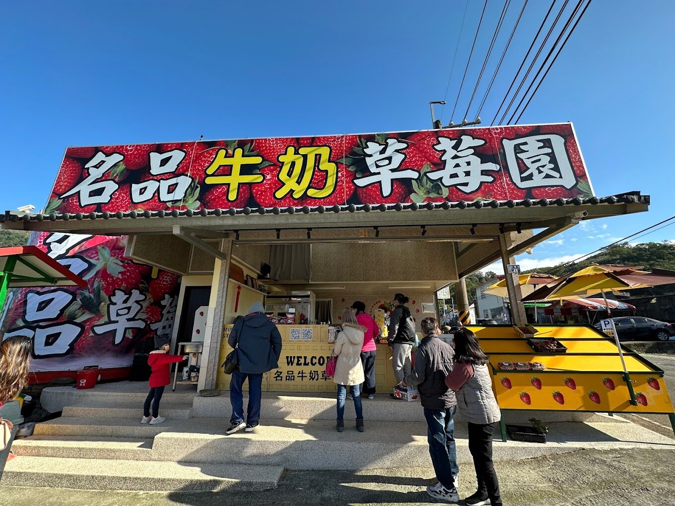 苗栗大湖草莓季節：最佳採摘時間與活動指南