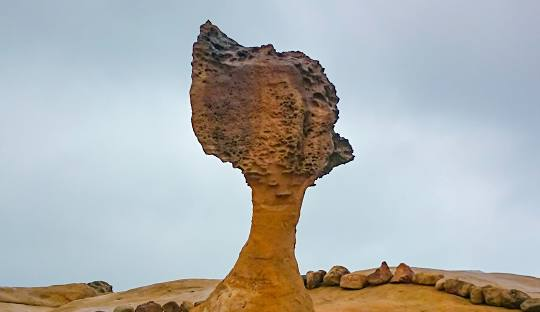 女王頭：台灣北海岸的自然奇觀面臨保護挑戰