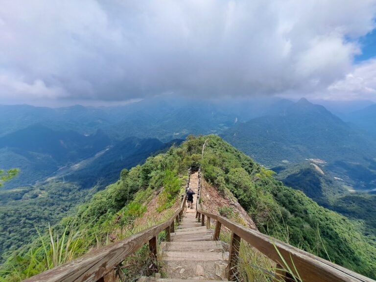白毛山登山路線全公開—初學者與進階者必看的攻略