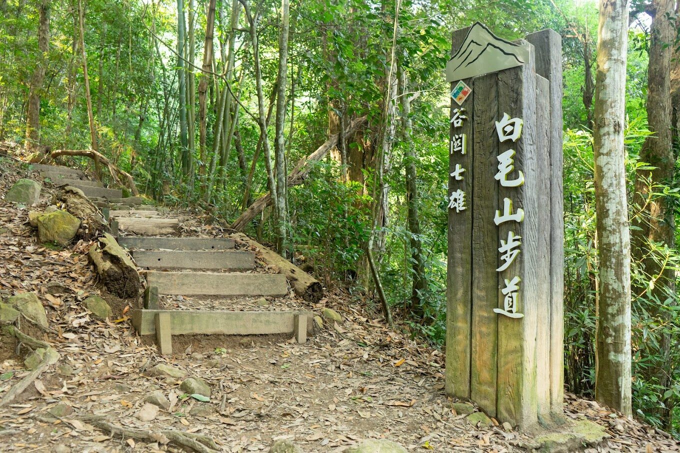 白毛山登山路線全公開—初學者與進階者必看的攻略
