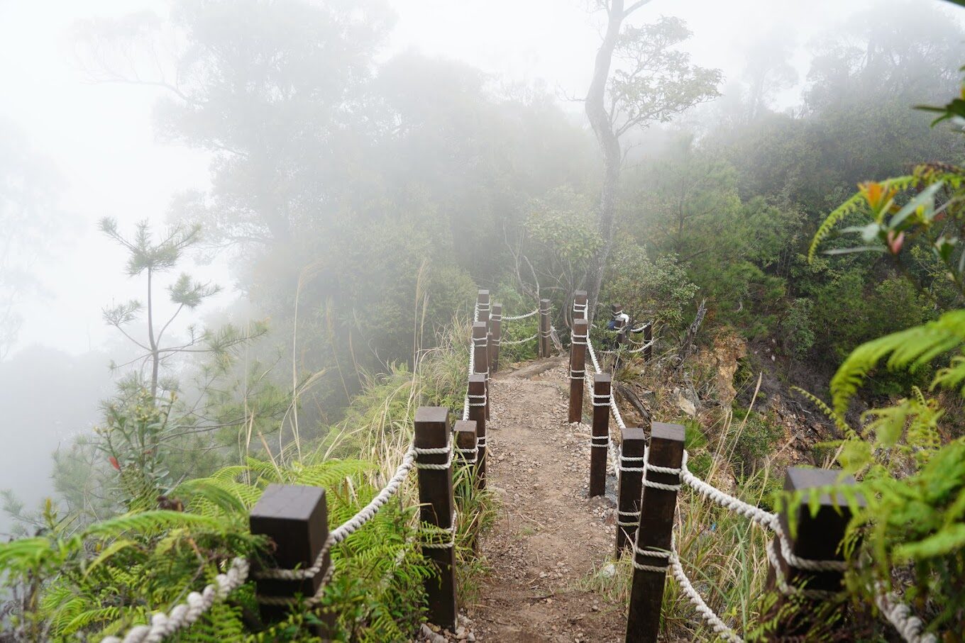 白毛山登山路線全公開—初學者與進階者必看的攻略