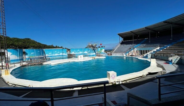 探索野柳海洋公園的精彩魅力