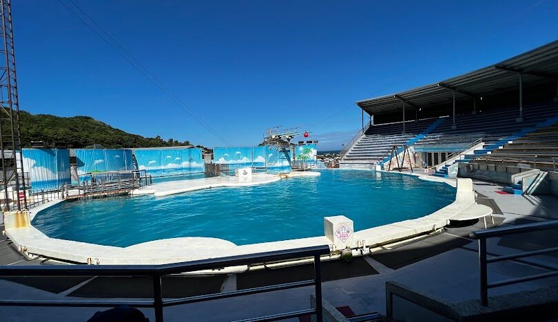 探索野柳海洋公園的精彩魅力