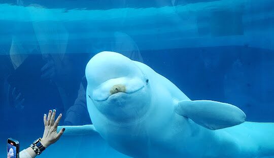 國立海洋生物博物館票券資訊