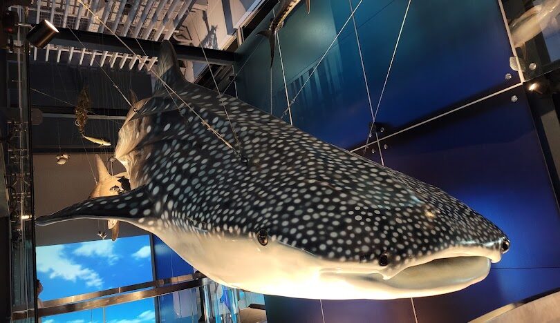 基隆海洋博物館：探險於科技與自然的交匯點