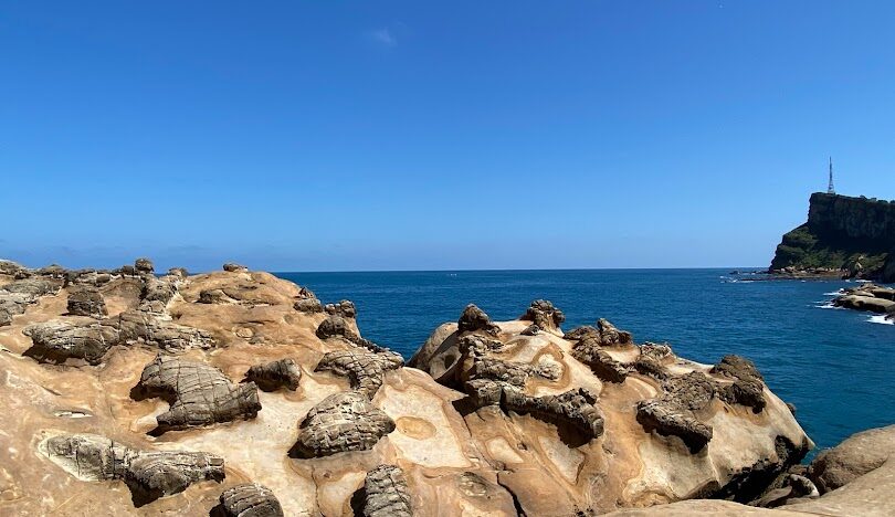 野柳海洋世界:探索北海岸海洋冒險