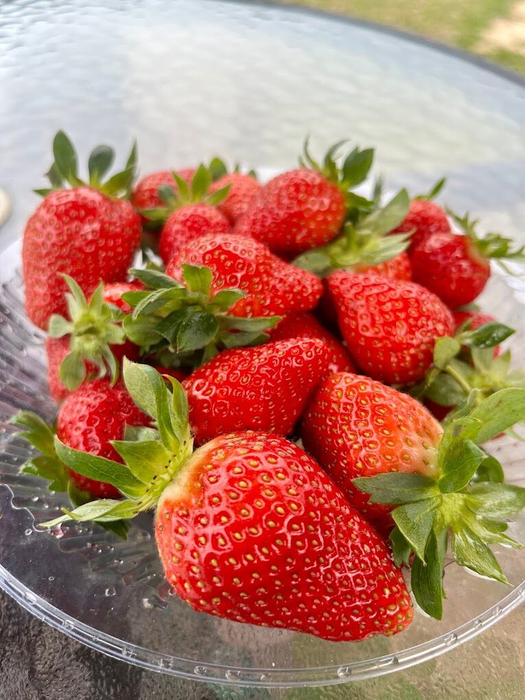 採草莓指南:最佳時機、地點與技巧