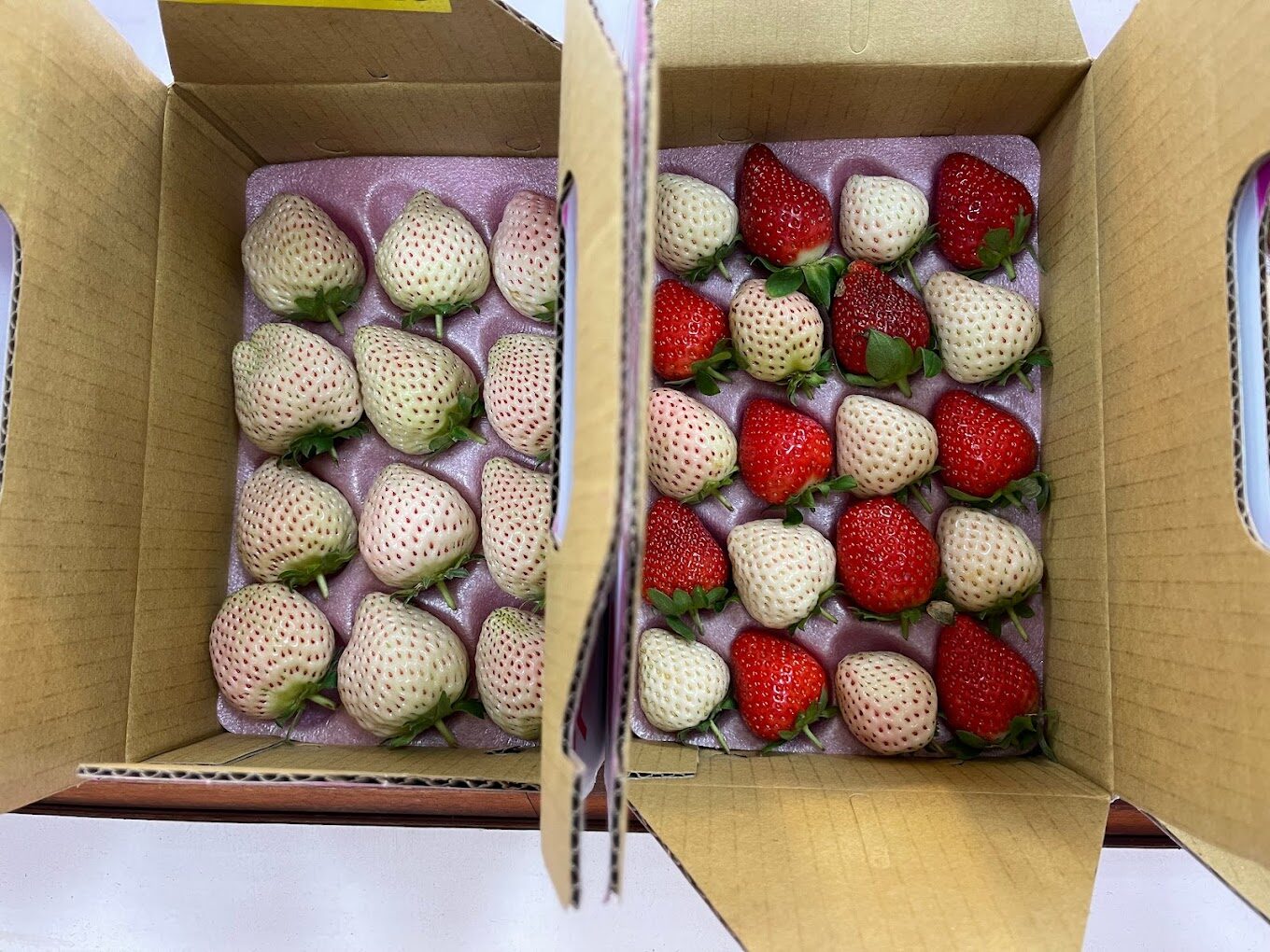 採草莓指南:最佳時機、地點與技巧