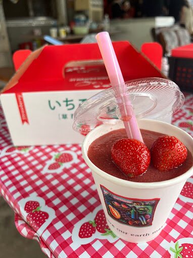 如何在草莓季節充分利用新鮮草莓