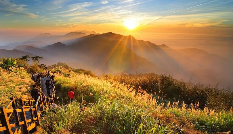 阿里山一日遊:阿里山日出指南,最佳觀賞地點及時間