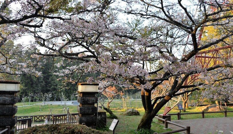 探索嘉義山區景點：奮起湖老街的鐵道便當與必拍景點