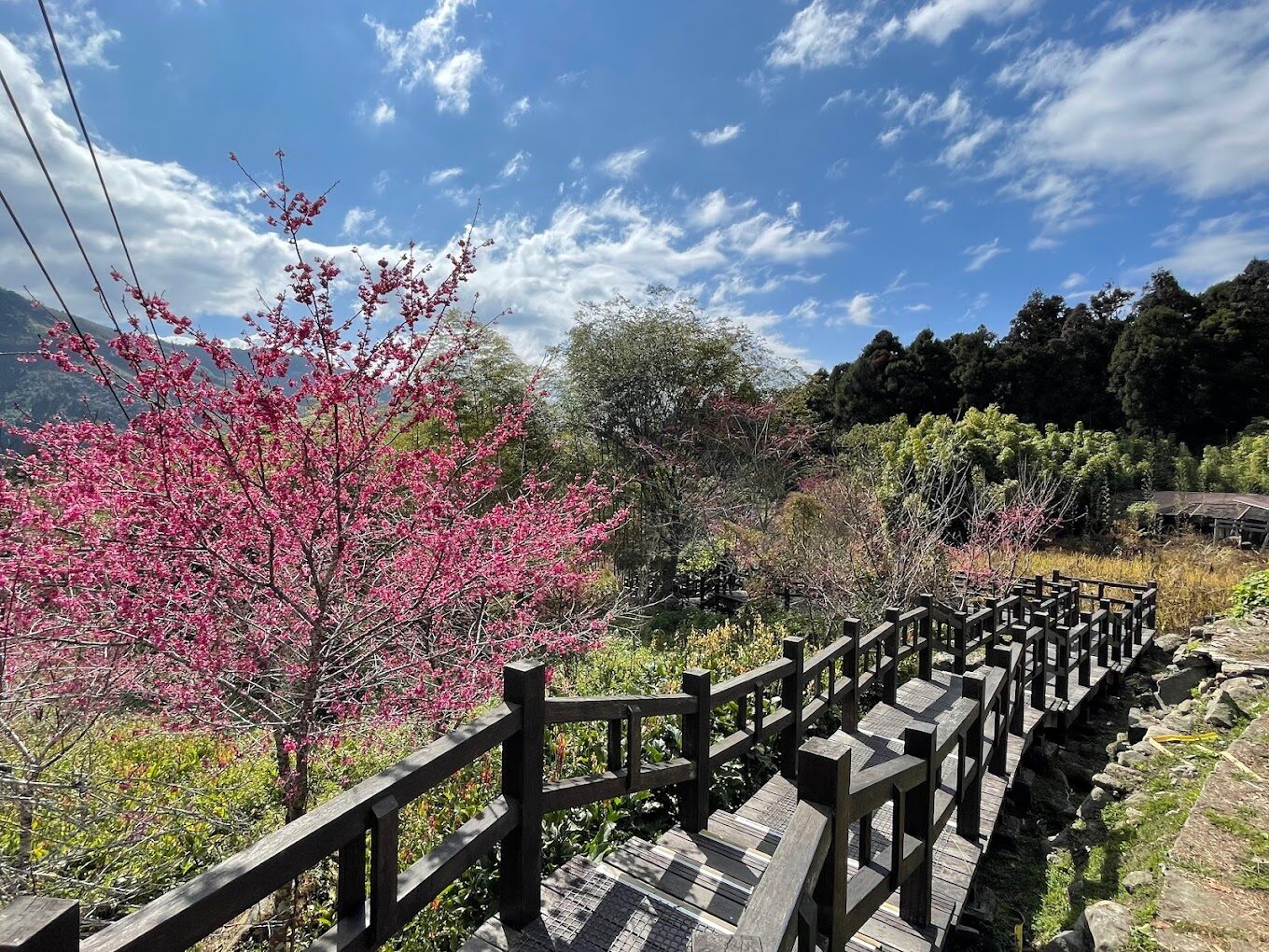 探索嘉義山區景點：奮起湖老街的鐵道便當與必拍景點