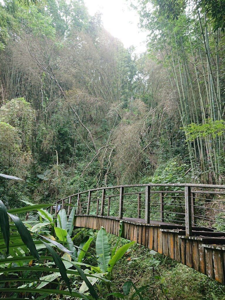特富野步道美景介紹與最佳攝影地點