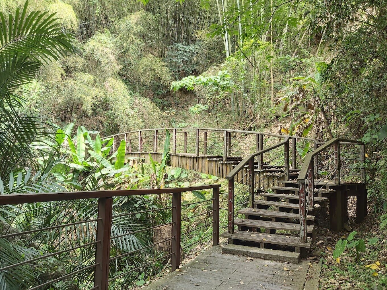 特富野步道美景介紹與最佳攝影地點