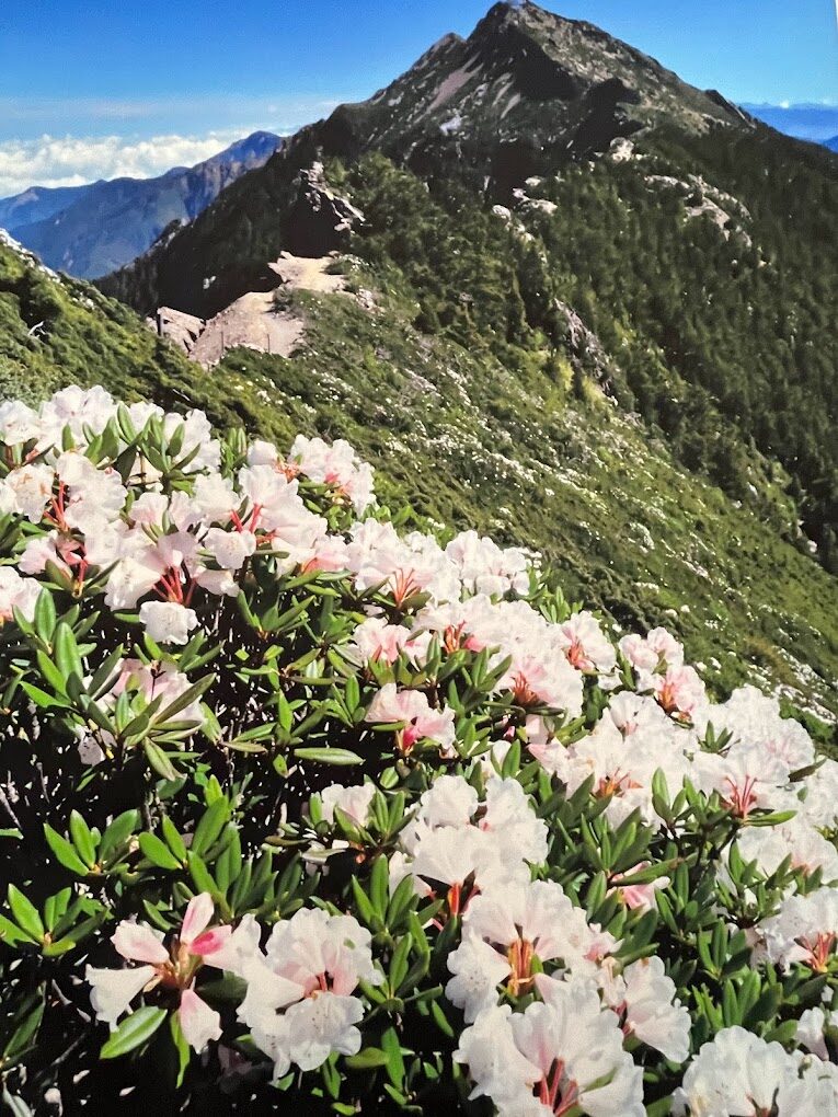 玉山登山步道最佳時機：解析不同季節登玉山的優劣勢，提供合理的行程建議